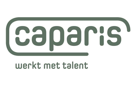 Caparis altijd online dankzij 4G backup